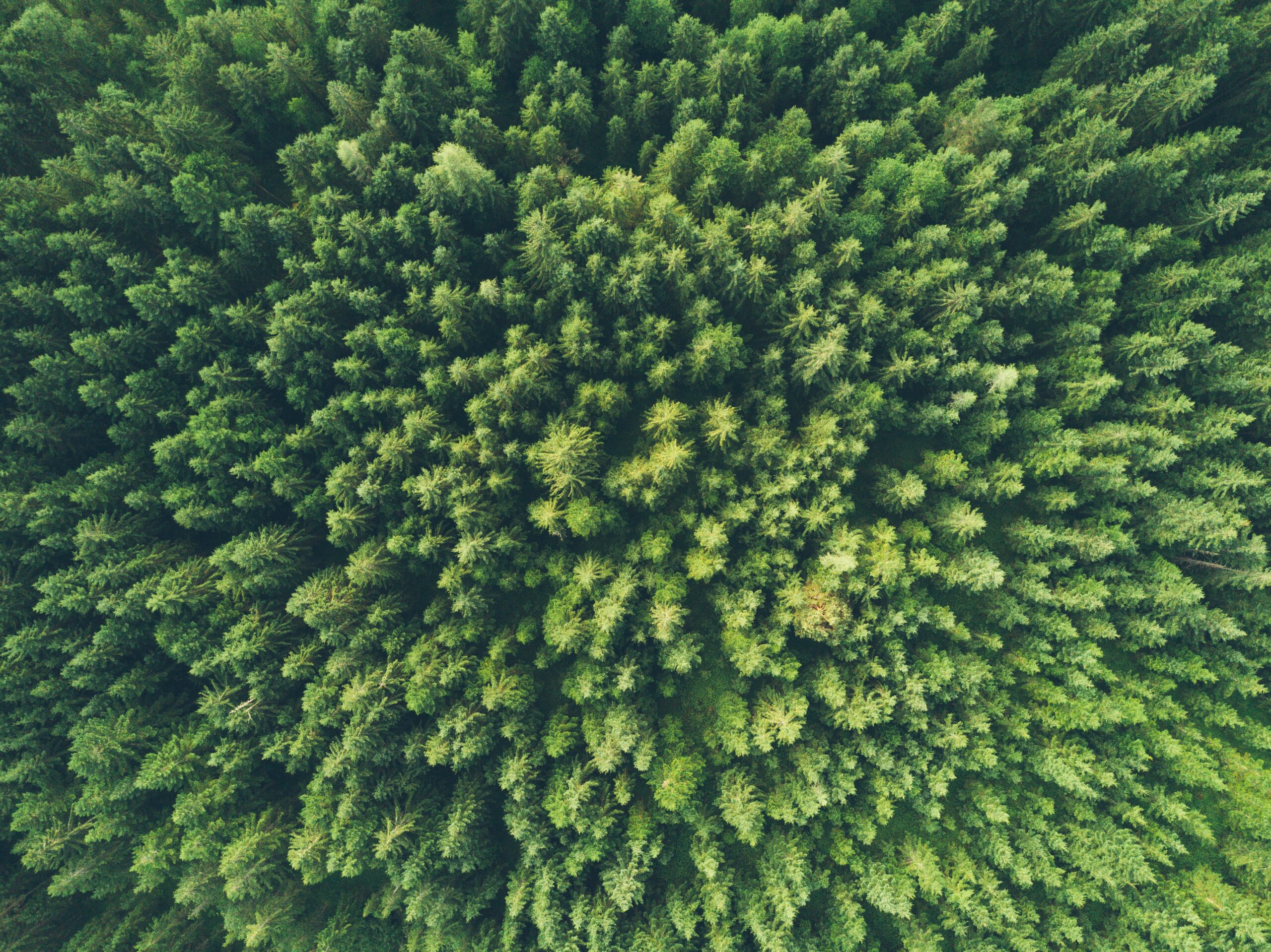 Sunday environmental round up, 21 March 2021