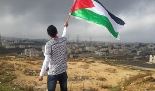 Palestine flag feature