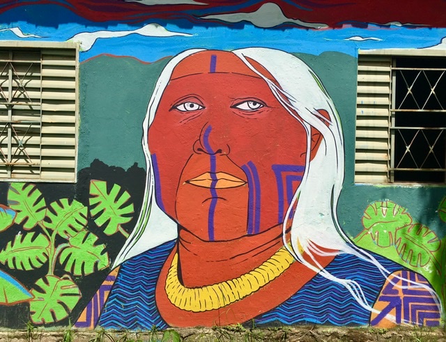 Indigenous mural feature