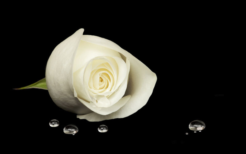 Vale Charles Garrard (Garry) Woodard