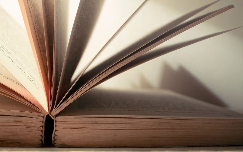 Opened book with shuffling pages. Lateral view, low angle.