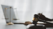 Pillar of ACT judiciary proves our exceptionalism
