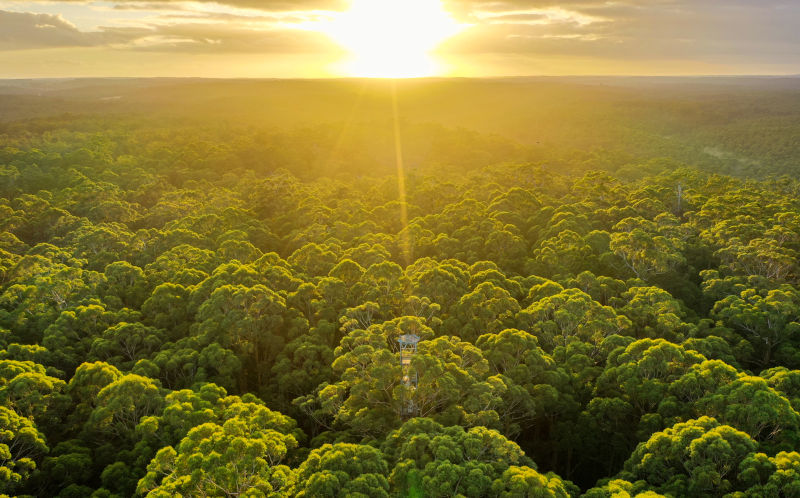 Environment: sustainability is about redefining what makes a good life, not sacrifice