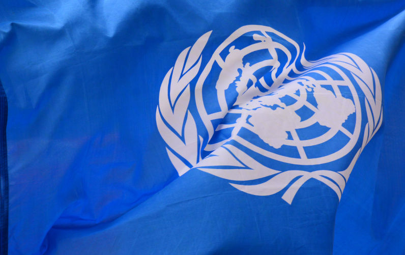 Today, every Palestinian is a target for death, extermination and genocide