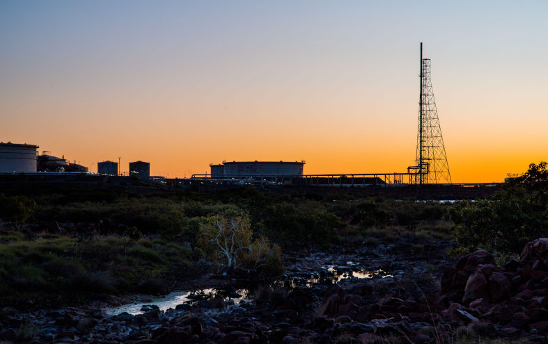 ‘Cakes of coal, volumes of gas’: Australia accused of being climate wrecker as it seeks to host COP31