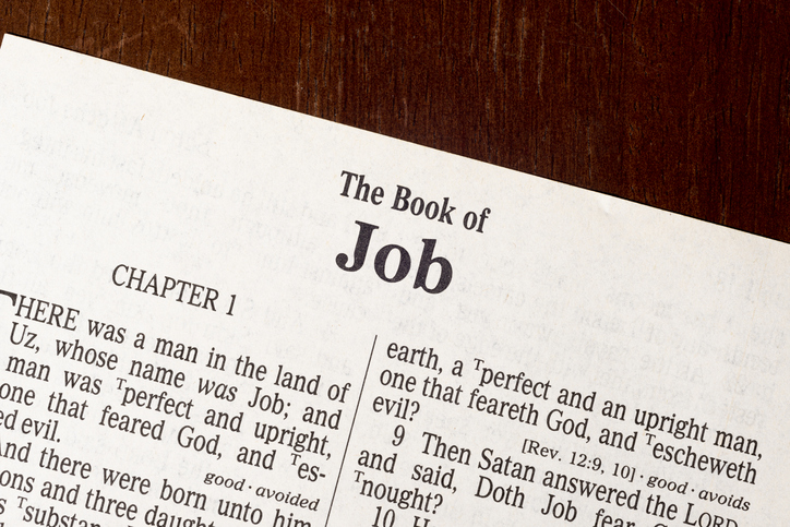 Job and the point of a good life