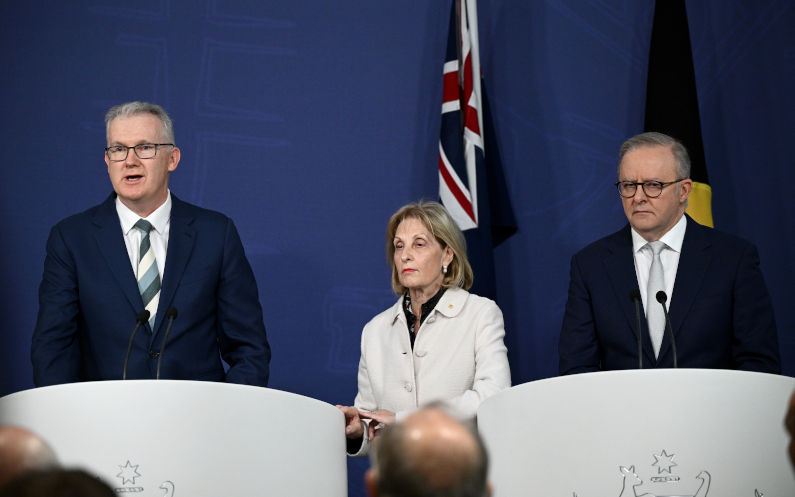 Prime Minister Anthony Albanese (right) Special Envoy to Combat Antisemitism Jillian Segal and Federal Minister for Home Affairs Tony Burke speak to media during a press conference at the Commonwealth Parliamentary Offices in Sydney, Thursday, July 10, 2025. Image: AAP/Dan Himbrechts