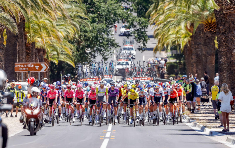 2025 Tour Down Under, Stage two Tanunda, South Australia, Australia The Peloton makes its way along Seppeltsfield road past the historic Seppeltsfield winery. Credit; Mark Willoughby/ALAMY Live News. Contributor:Mark Willoughby 2S8BYM2