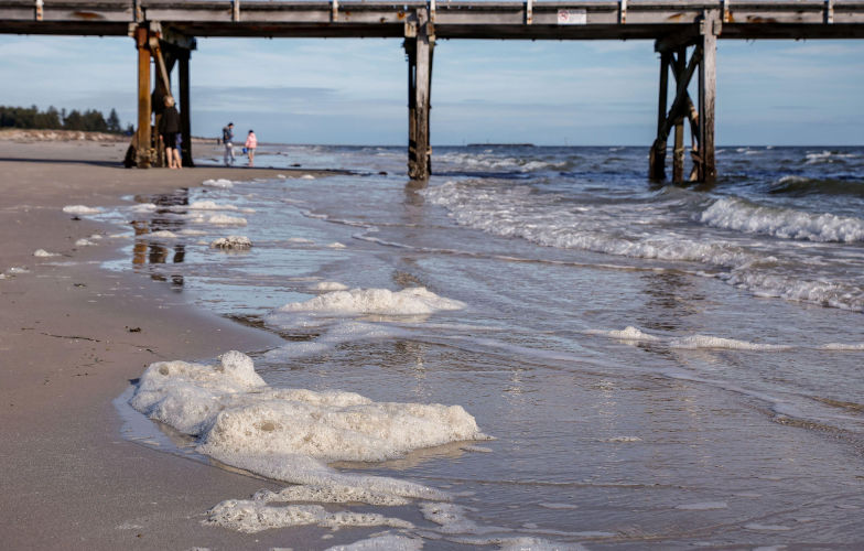 Algal bloom: first peoples ngamath-sea country