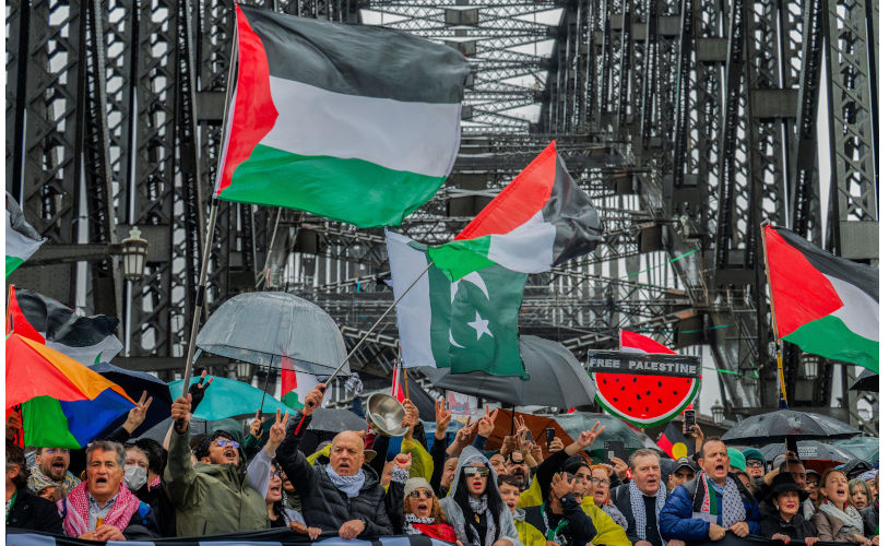 Watermelons in the rain