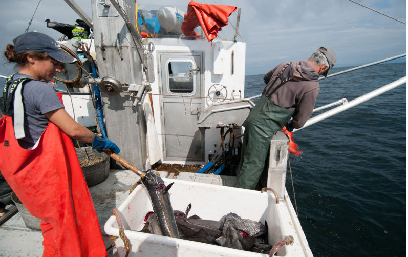 Black Cod (Sablefish) fishing, Sitka, Alaska.Image: Alamy. Contributor: Mark A. Johnson Image ID: CCF849