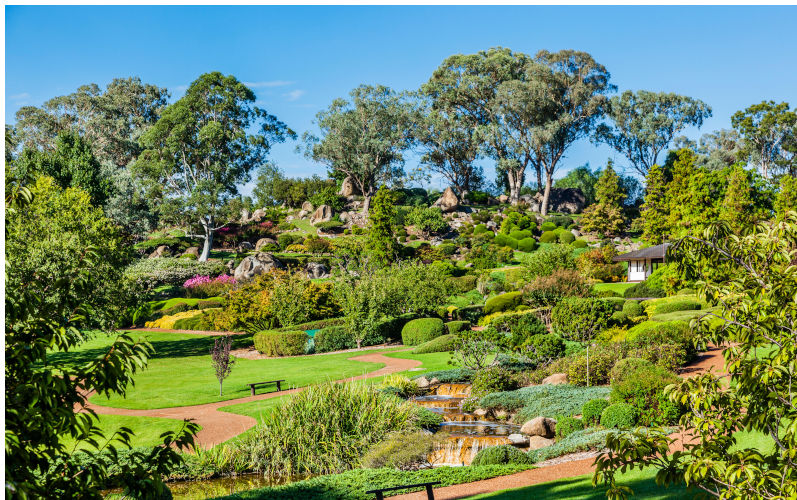 Australia, New South Wales, Central West Region, Cowra Japanese Garden. Image Alamy. ContributorManfred Gottschalk. Image IDEXBE0A