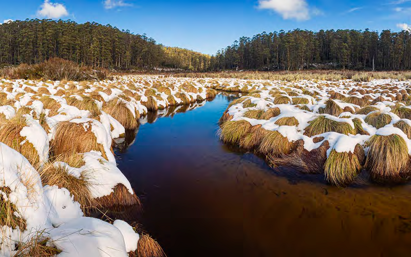 The Thomson River upstream of the Thomson reservoir in unprotected state forest. Image supplied Credit Chris Taylor