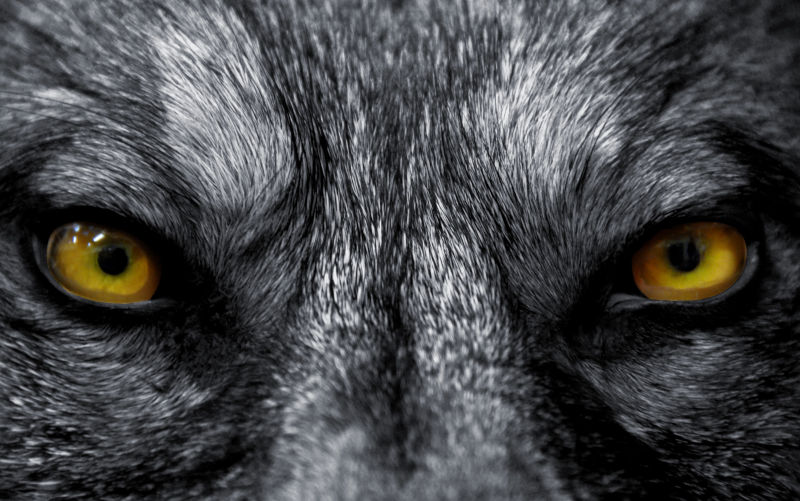 Best of 2025 – The boy who cried antisemitism