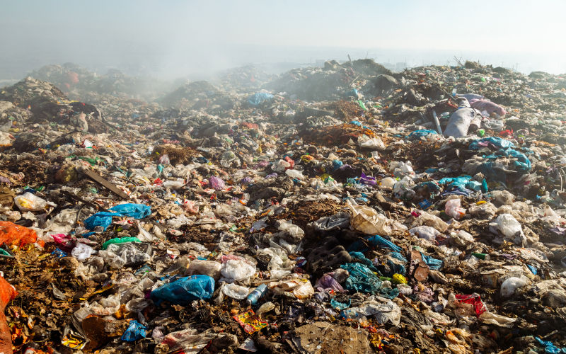 Turning waste into wealth