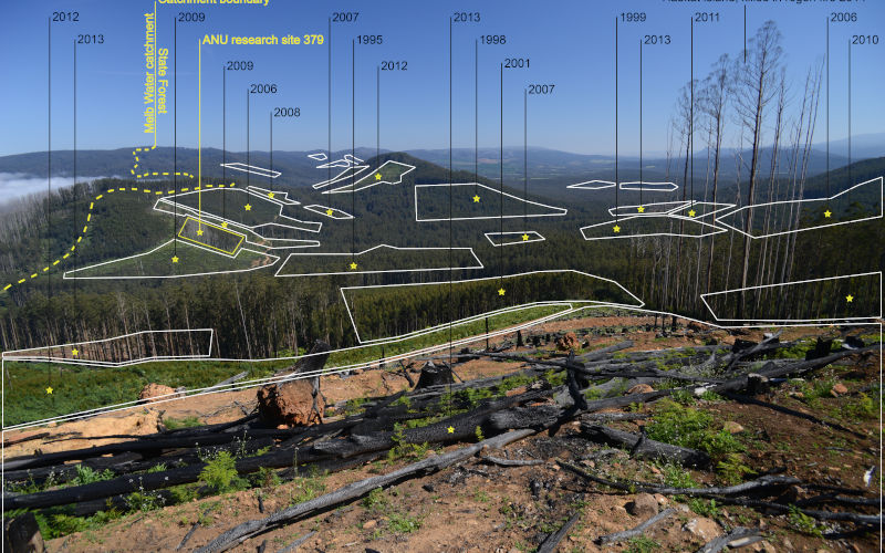 Source David Blair, Cumulative change. Many landscapes in the montane ash forests of the Central Highlands of Victoria have been subject to extensive cutting with a large number of logging coupes closely located. This scene from the edge of the Maroondah catchment is typical of many ashforest dominated regions. The dates are when the coupes were logged.