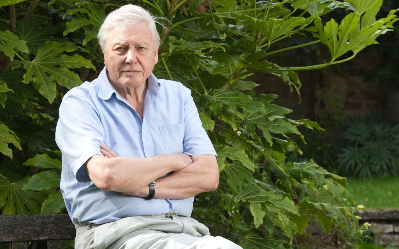 Sir David Attenborough, English broadcaster and naturalist, at his home in Richmond, Borough of Richmond upon Thames, England UK Image Jeff Gilbert Alamy image ID FDW7XH