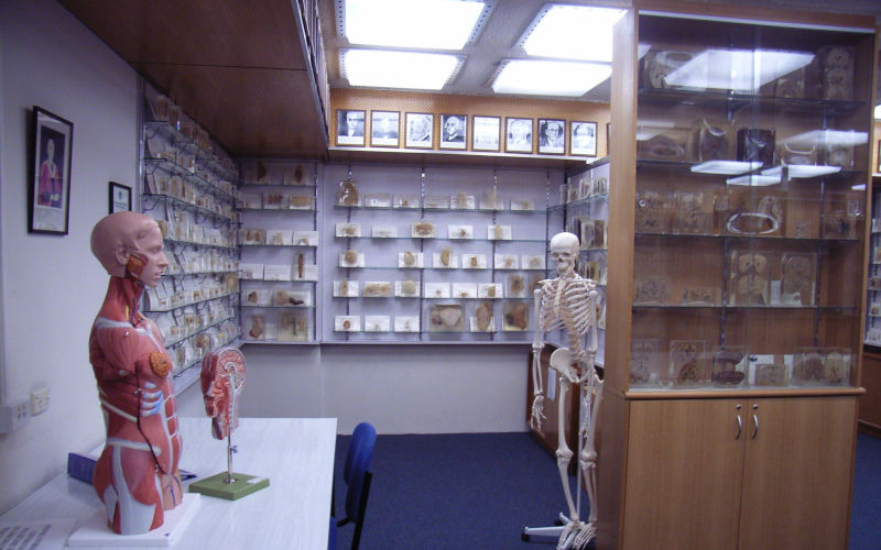 Image AAP supplied image obtained on Thursday, September 11, 2025, shows part of the University of Tasmanias R.A. Rodda Museum that kept 177 human remains specimens without the knowledge or consent of families. PR Image Supplied, University of Tasmania