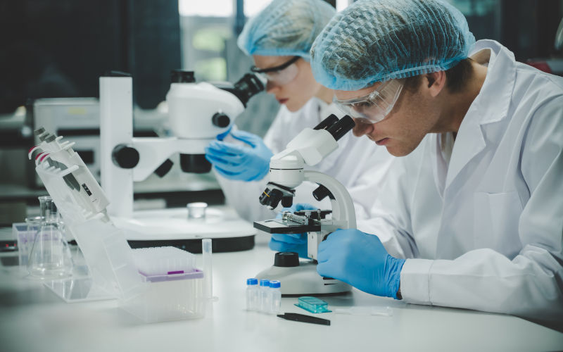 Scientists in a modern science laboratory using microscopes and glassware for advanced medical, biology, and chemistry research. Image iStock photobyphotoboy