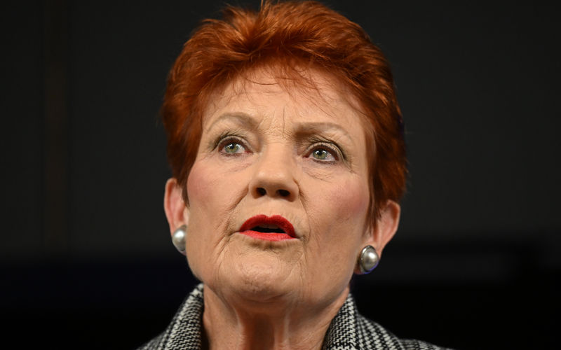 One Nation leader Pauline Hanson addresses the National Press Club in Canberra, Wednesday, June 17, 2026. Image AAP Lukas Coch