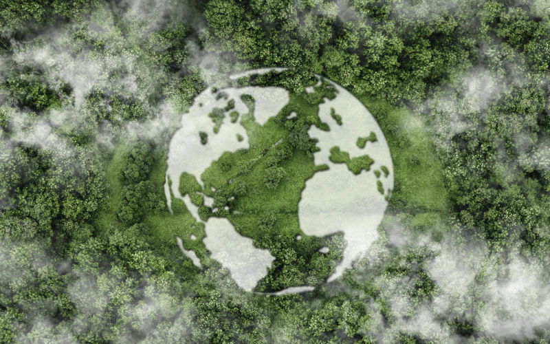 Top view green forest with globe earth. Sustainable Environment concept. Carbon reduction emissions target. Green energy is ecofriendly. Image iStock Khanchit Khirisutchalual