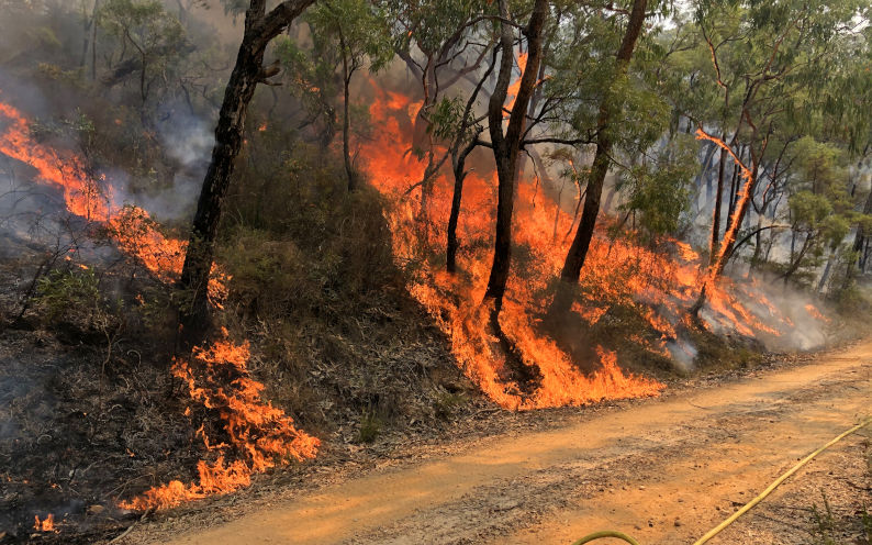 Do ‘fuel breaks’ stack up for us and our forests?