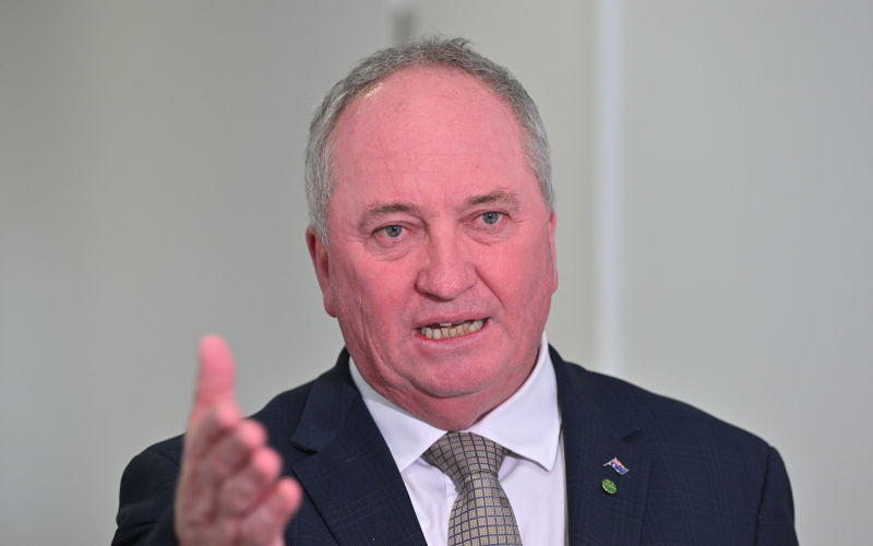 One Nation member for New England Barnaby Joyce speak to journalists in the Press Gallery at Parliament House in Canberra, Tuesday, September 8, 2026. Image AAP Mick Tsikas