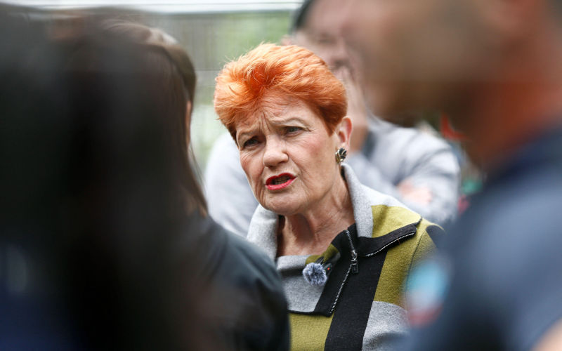 Melbourne, Australia. 30th Nov, 2025. Pauline Hanson, Senator of Australia, is seen speaking to media during the antiimmigration rally. An antiimmigration protest takes place in Melbourne, with demonstrators calling for reduced migration levels and opposing what they describe as government mismanagement of population growth. Participants also voice concerns about a proposed Digital ID system and rising energy costs. A small counterprotest challenges the rallys messages, arguing that the movement promotes misinformation and harmful antiimmigrant rhetoric. Credit SOPA Images Limited Alamy Image ID3D8CYHA