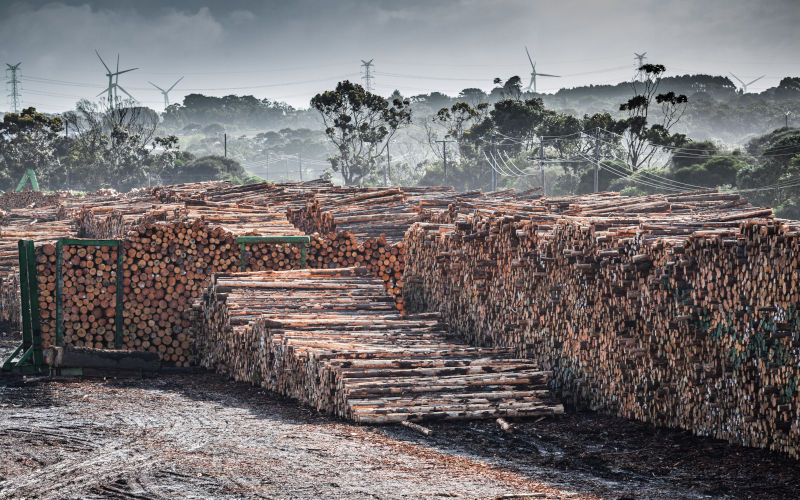 Lumber yard Portland, Victoria Image iStock svibrav